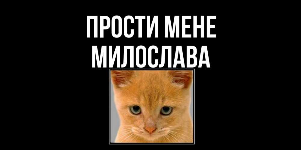 Открытка на каждый день з підписом, Милослава Прости мене рыжий грустный кот просит прощения Прикольна листівка з побажанням онлайн скачати безкоштовно 