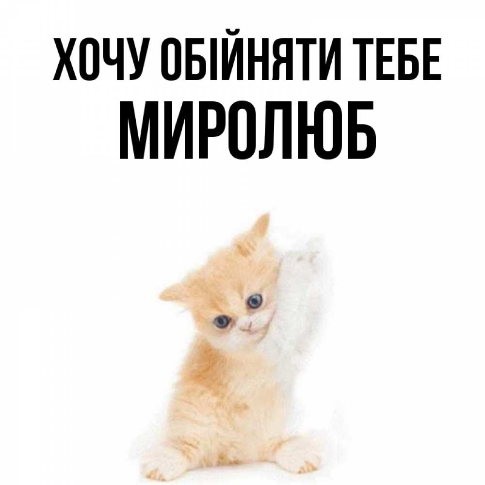 Открытка на каждый день з підписом, Миролюб Хочу обійняти тебе я хочу очень скорее обнимаешек Прикольна листівка з побажанням онлайн скачати безкоштовно 
