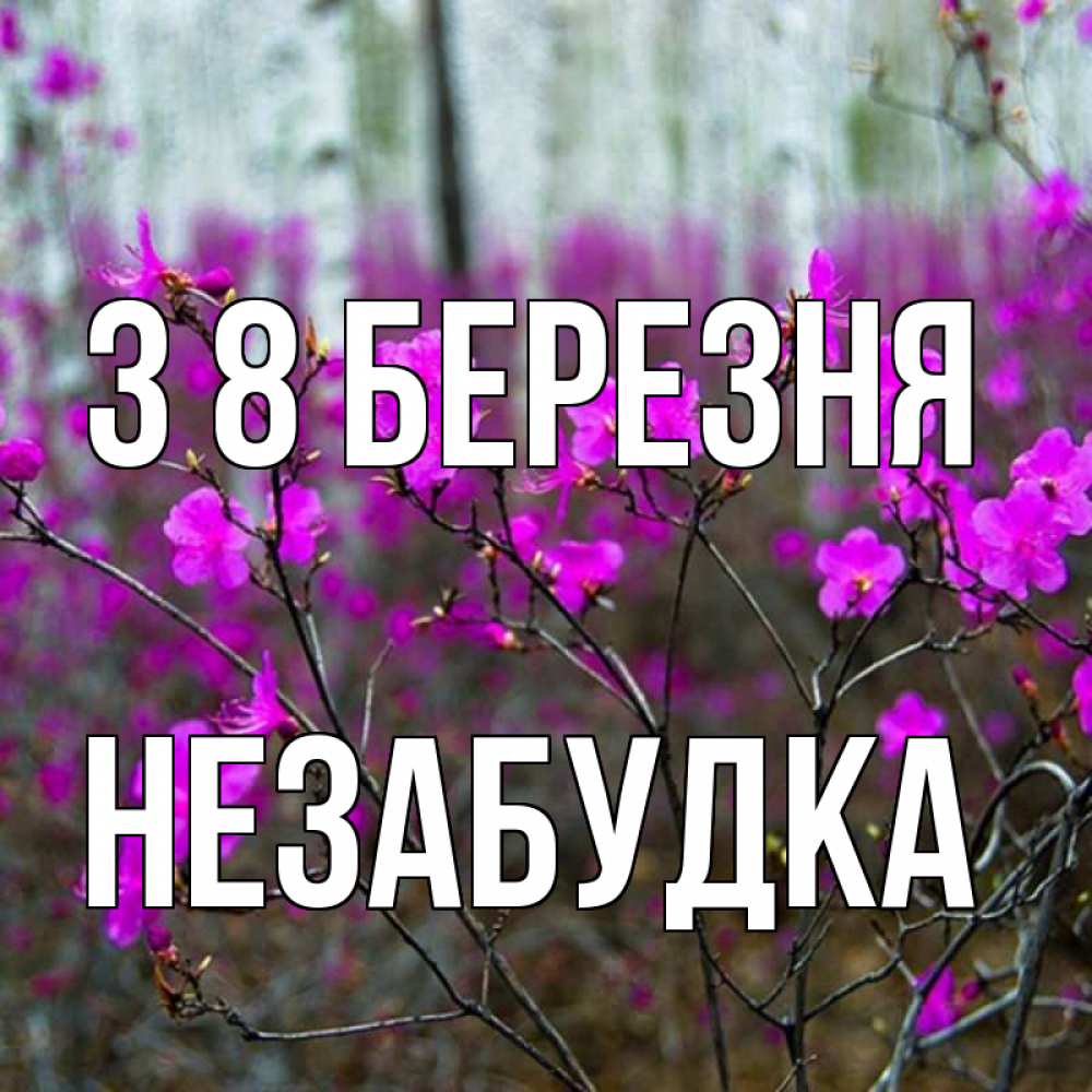 Открытка на каждый день з підписом, Незабудка З 8 БЕРЕЗНЯ дикие цветы Прикольна листівка з побажанням онлайн скачати безкоштовно 