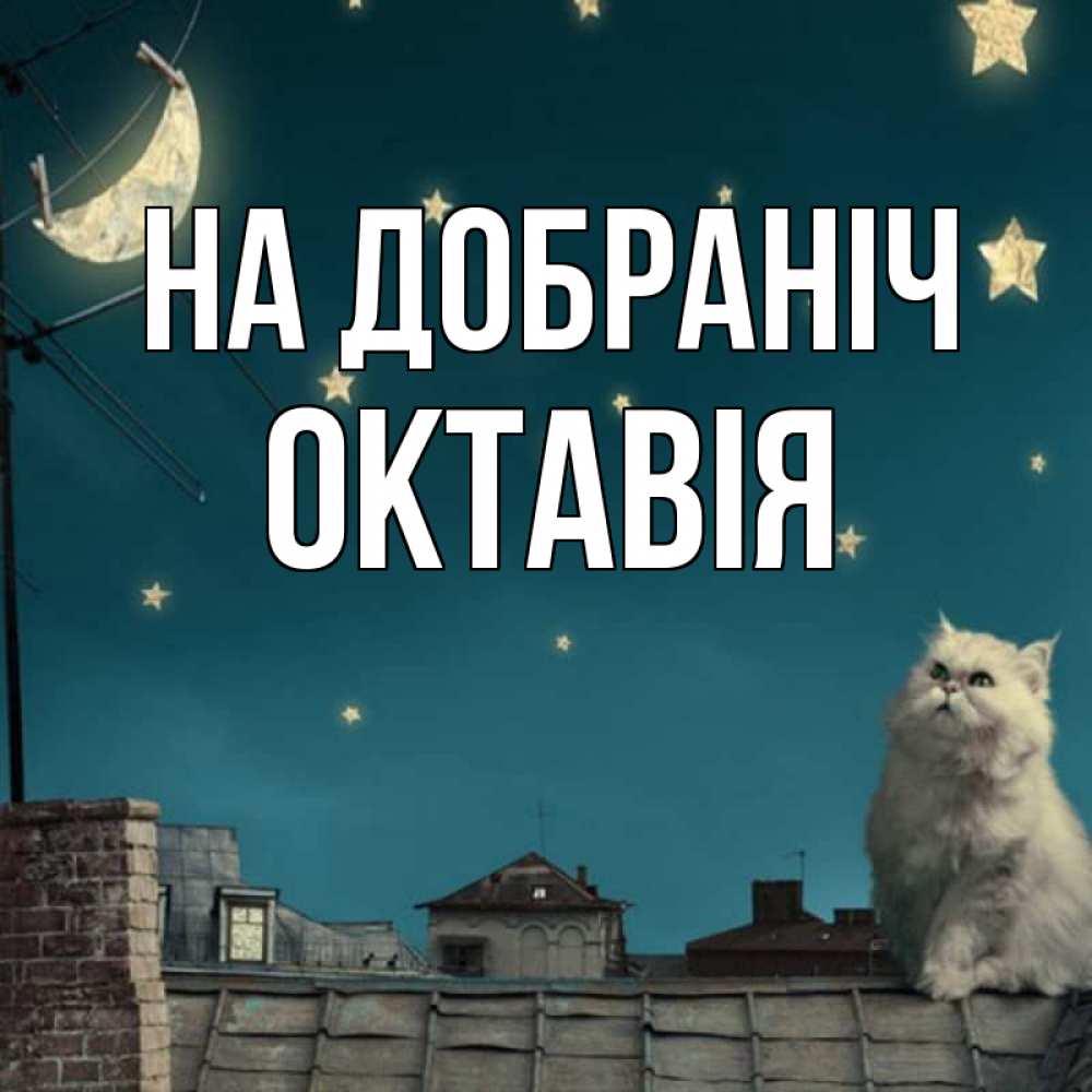 Открытка на каждый день з підписом, Октавія На добраніч белый кот сидит на крыше Прикольна листівка з побажанням онлайн скачати безкоштовно 