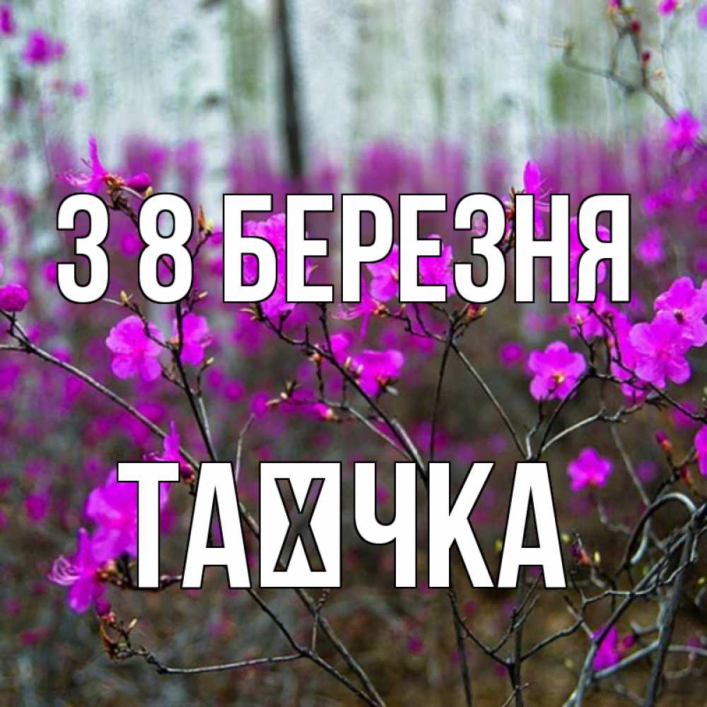 Открытка на каждый день з підписом, Таєчка З 8 БЕРЕЗНЯ дикие цветы Прикольна листівка з побажанням онлайн скачати безкоштовно 