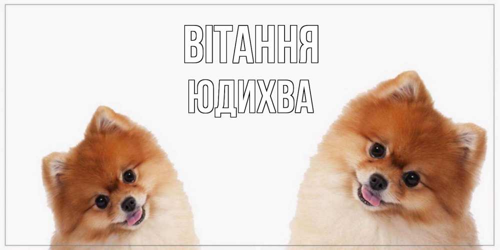 Открытка на каждый день з підписом, Юдихва Вітання привет Прикольна листівка з побажанням онлайн скачати безкоштовно 