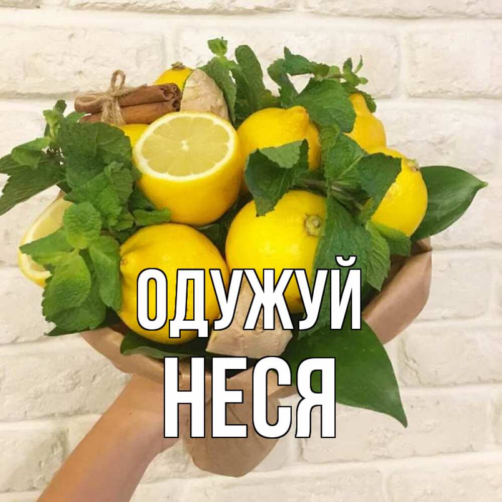 Открытка на каждый день з підписом, Неся Одужуй витамины Прикольна листівка з побажанням онлайн скачати безкоштовно 