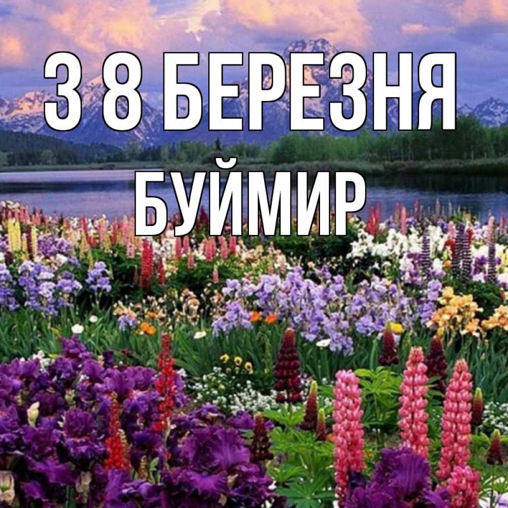 Открытка на каждый день з підписом, Буймир З 8 БЕРЕЗНЯ международный женский день Прикольна листівка з побажанням онлайн скачати безкоштовно 