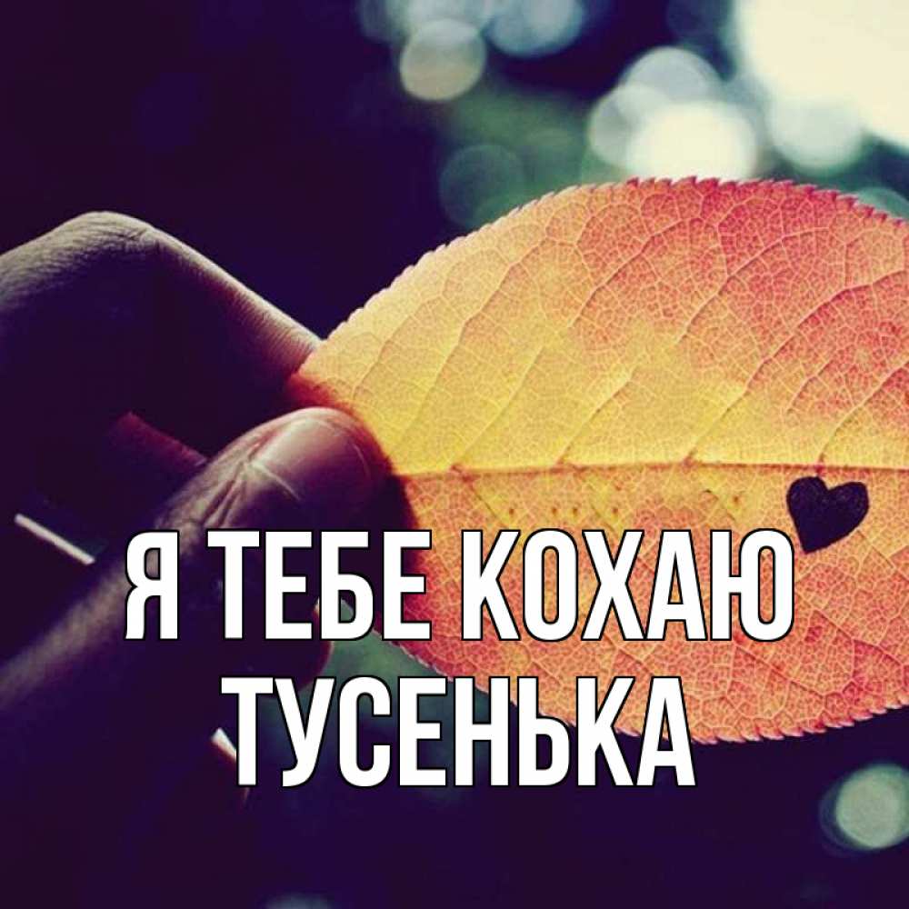 Открытка на каждый день з підписом, Тусенька Я тебе кохаю держу лист Прикольна листівка з побажанням онлайн скачати безкоштовно 