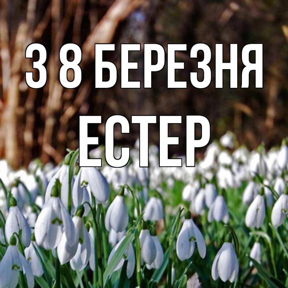 Открытка на каждый день з підписом, Естер З 8 БЕРЕЗНЯ с подснежниками 1 Прикольна листівка з побажанням онлайн скачати безкоштовно 