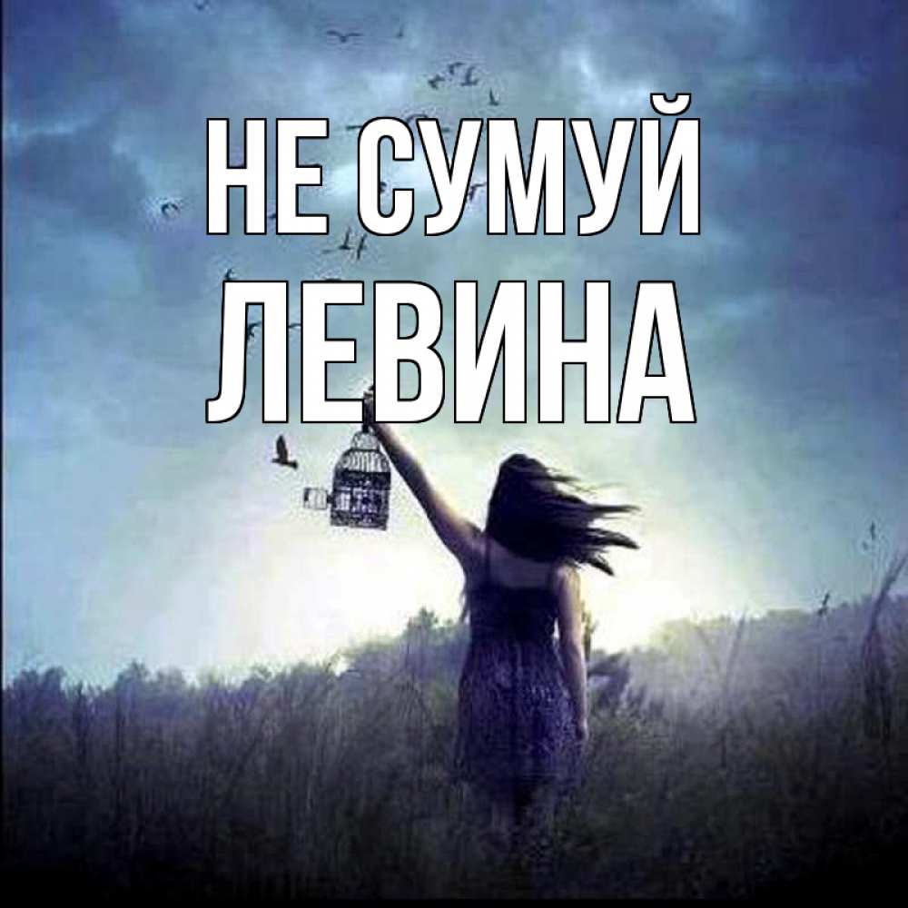 Открытка на каждый день з підписом, Левина Не сумуй на волю Прикольна листівка з побажанням онлайн скачати безкоштовно 