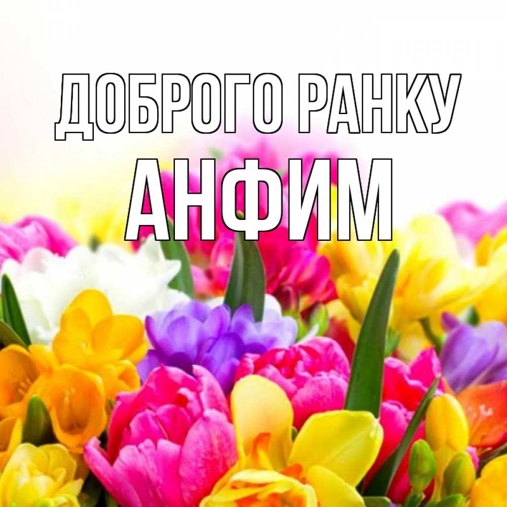Открытка на каждый день з підписом, Анфим Доброго ранку создать открытку со свое подписью Прикольна листівка з побажанням онлайн скачати безкоштовно 