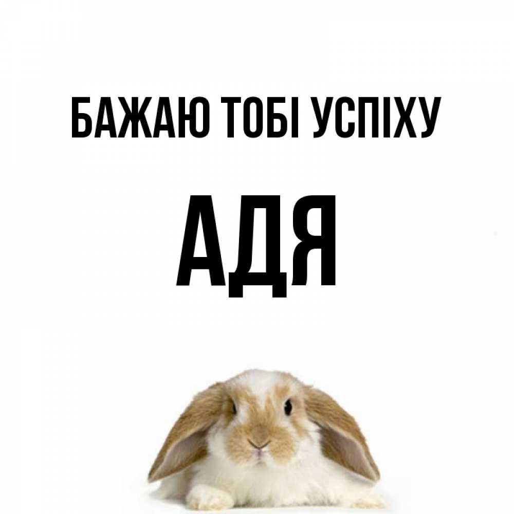 Открытка на каждый день з підписом, Адя Бажаю тобі успіху открытки с произвольным текстом который можно вставить в открытку и создать ее самостоятельно бесплатно онлайн Прикольна листівка з побажанням онлайн скачати безкоштовно 