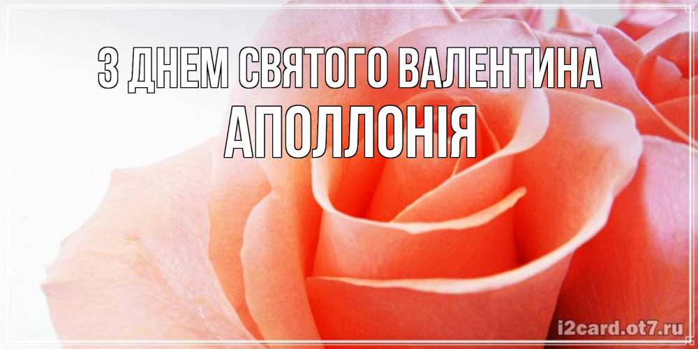 Открытка на каждый день з підписом, Аполлонія З Днем Святого Валентина открытка на день Святого Валентина с розовой розой Прикольна листівка з побажанням онлайн скачати безкоштовно 