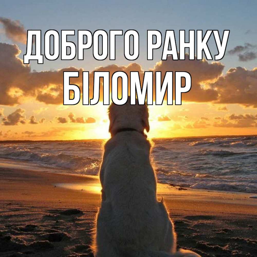 Листівка Доброго ранку, Біломир