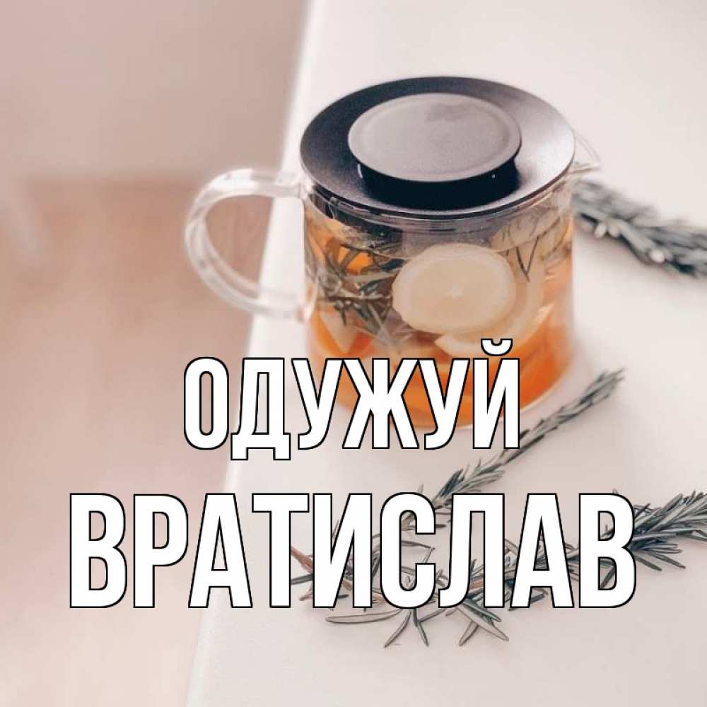 Открытка на каждый день з підписом, Вратислав Одужуй ну вы там держитесь Прикольна листівка з побажанням онлайн скачати безкоштовно 