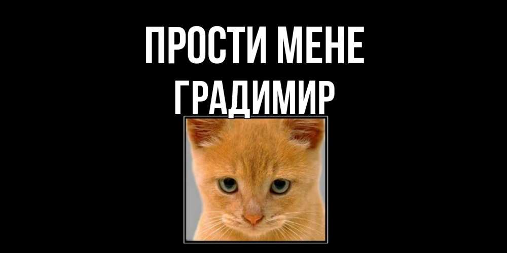 Открытка на каждый день з підписом, Градимир Прости мене рыжий грустный кот просит прощения Прикольна листівка з побажанням онлайн скачати безкоштовно 