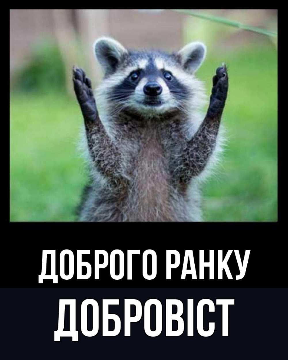 Открытка на каждый день з підписом, Добровіст Доброго ранку хорошее настроение утречком Прикольна листівка з побажанням онлайн скачати безкоштовно 