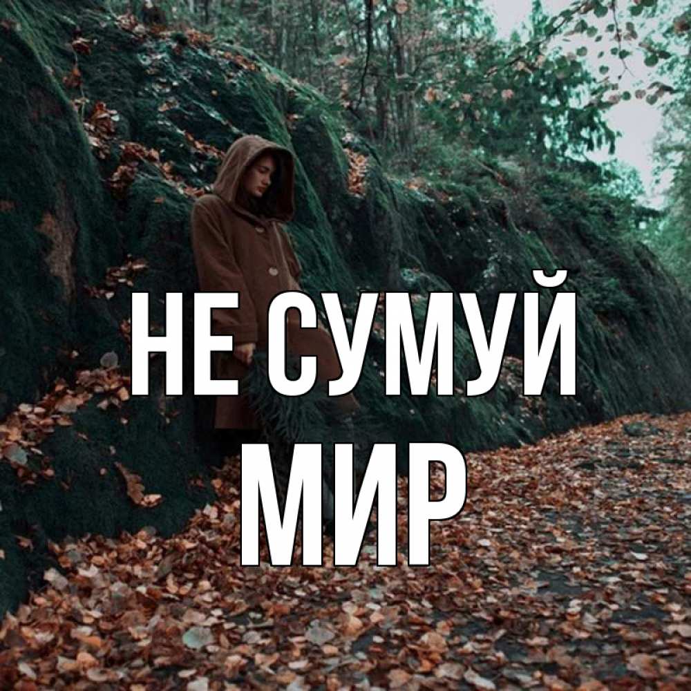 Открытка на каждый день з підписом, Мир Не сумуй осенний лес Прикольна листівка з побажанням онлайн скачати безкоштовно 