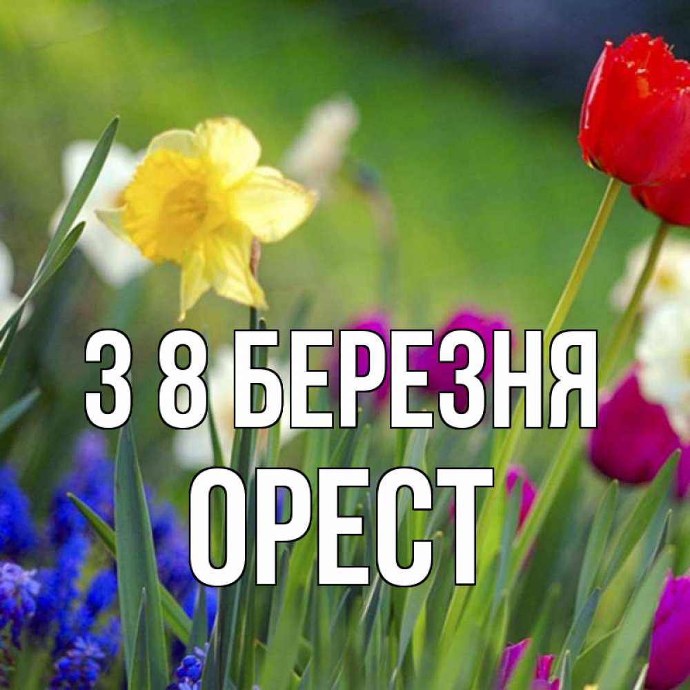 Открытка на каждый день з підписом, Орест З 8 БЕРЕЗНЯ международный женский день 3 Прикольна листівка з побажанням онлайн скачати безкоштовно 