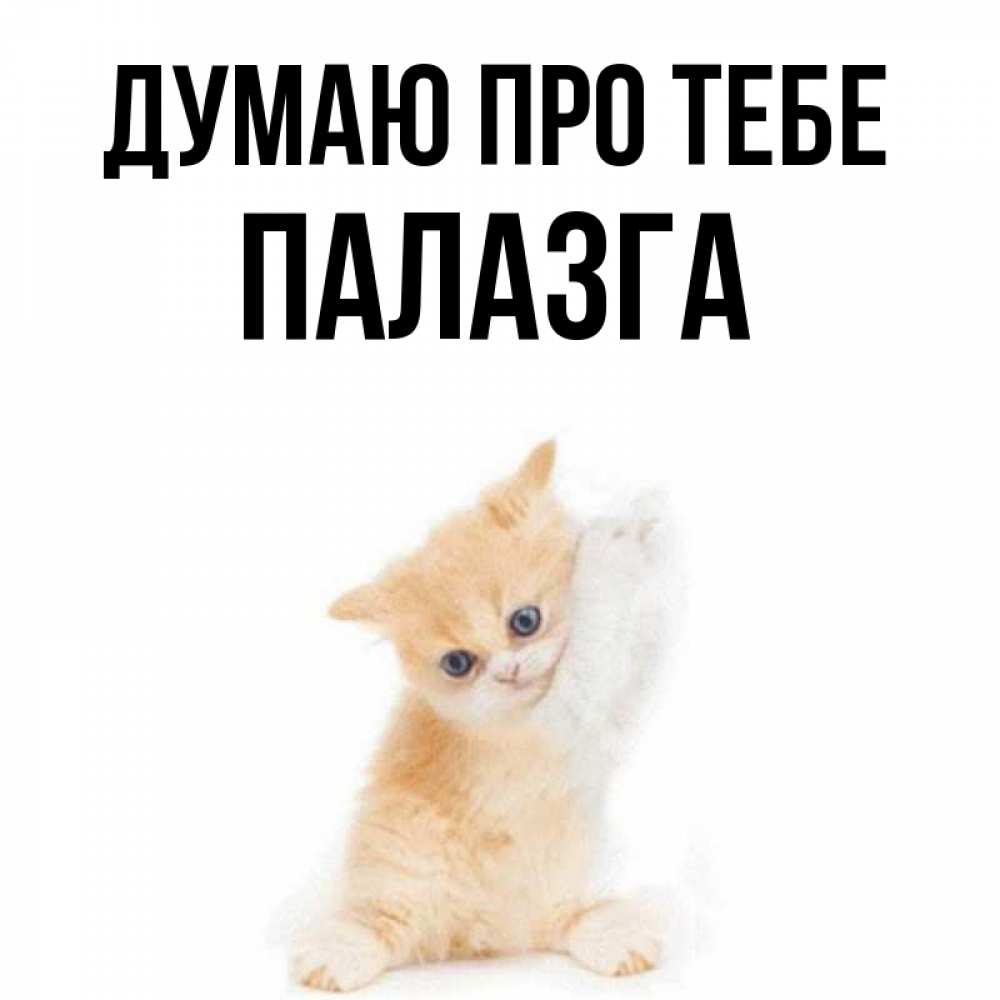 Открытка на каждый день з підписом, Палазга Думаю про тебе зверушки и милота Прикольна листівка з побажанням онлайн скачати безкоштовно 