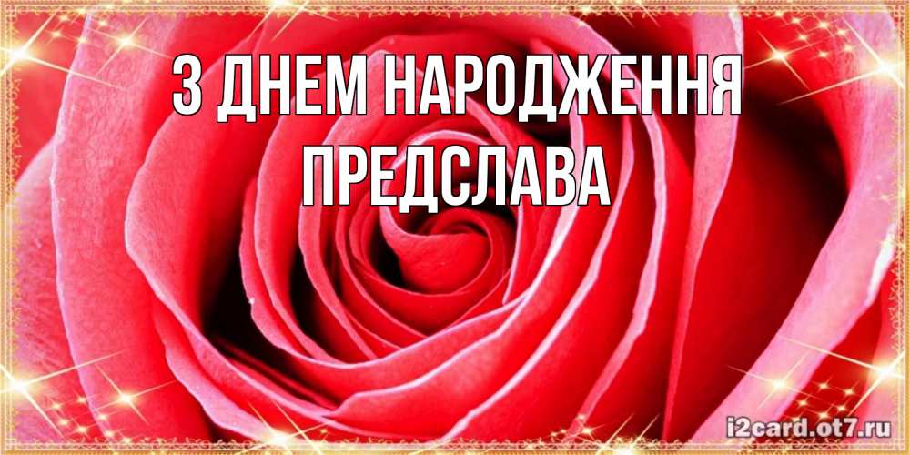 Открытка на каждый день з підписом, Предслава З Днем народження розовая роза очень крупный бутон Прикольна листівка з побажанням онлайн скачати безкоштовно 