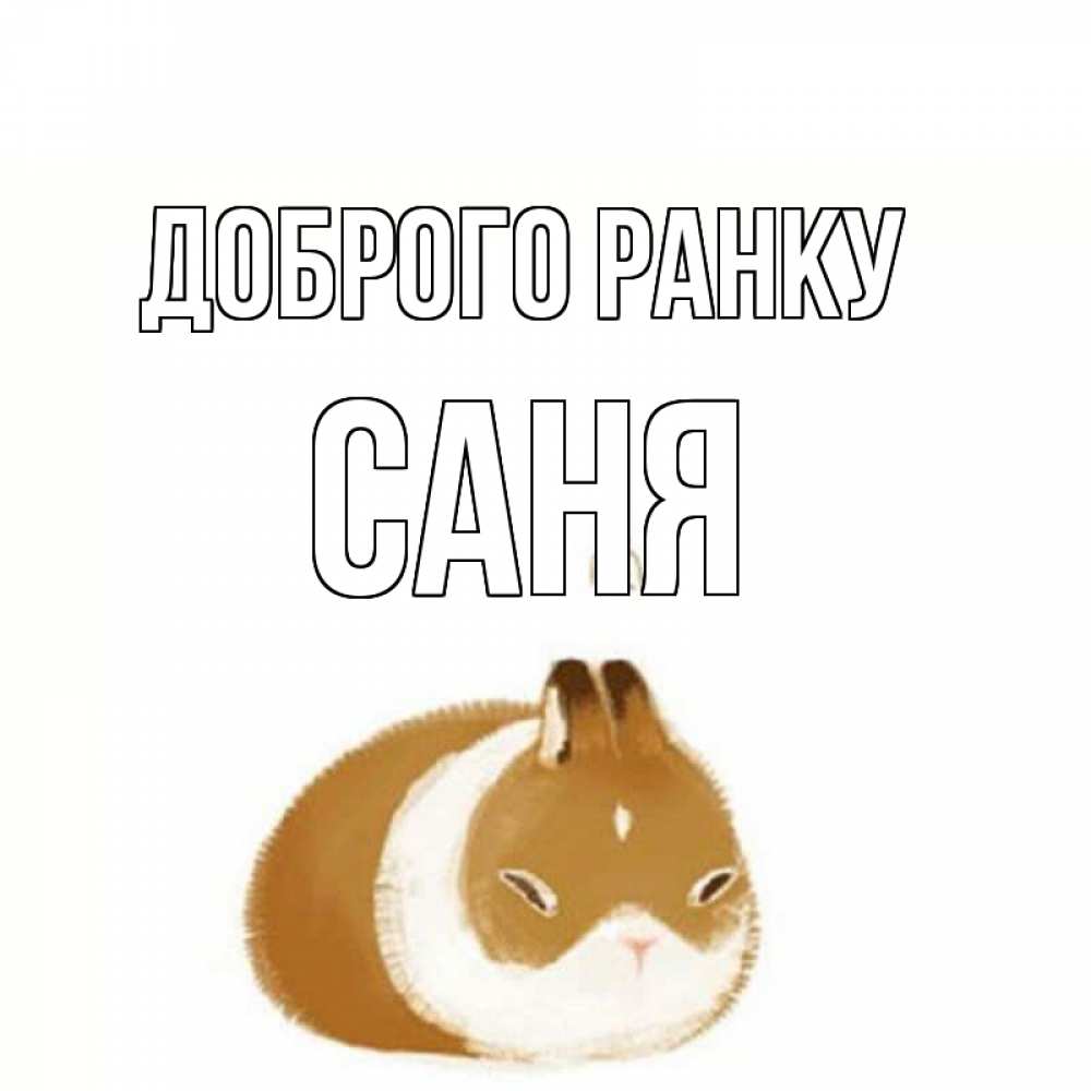 Открытка на каждый день з підписом, Саня Доброго ранку хорошего утречка Прикольна листівка з побажанням онлайн скачати безкоштовно 