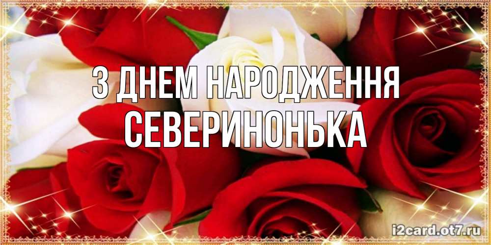 Открытка на каждый день з підписом, Северинонька З Днем народження открытка на день рождения с белыми и красными розами Прикольна листівка з побажанням онлайн скачати безкоштовно 