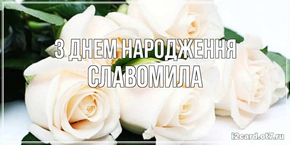 Открытка на каждый день з підписом, Славомила З Днем народження открытка с красивыми белыми розами для родных Прикольна листівка з побажанням онлайн скачати безкоштовно 