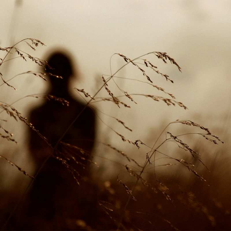 Открытка колосятся растения   силуэт девушки  Сумую за тобою 