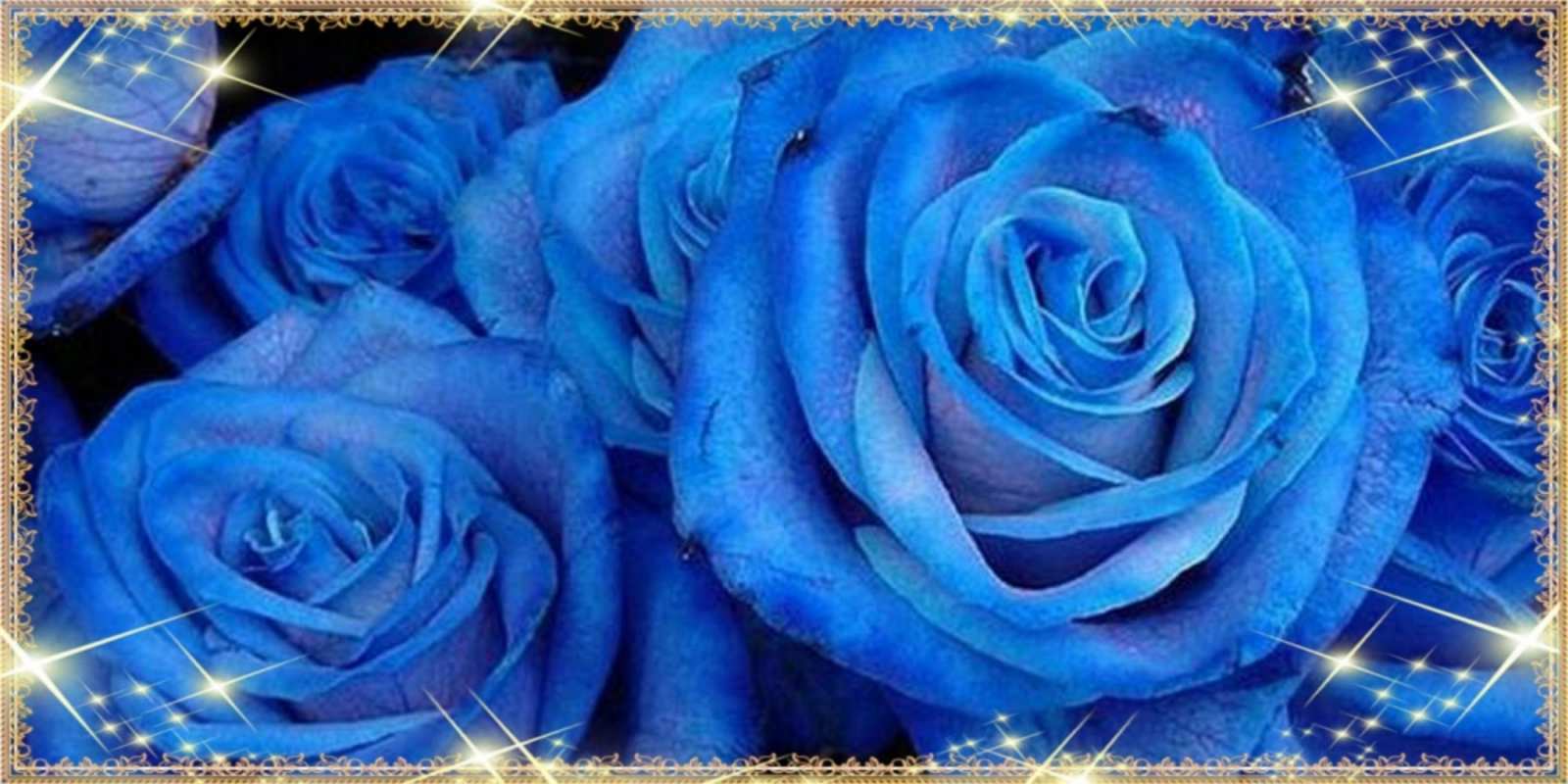 Открытка красивые синие розы на международный женский день для дорогой как поздравить женщину на праздник весны наурыз. Конечно же нужно подарить ей открытку с нашего сайта С наурызом 