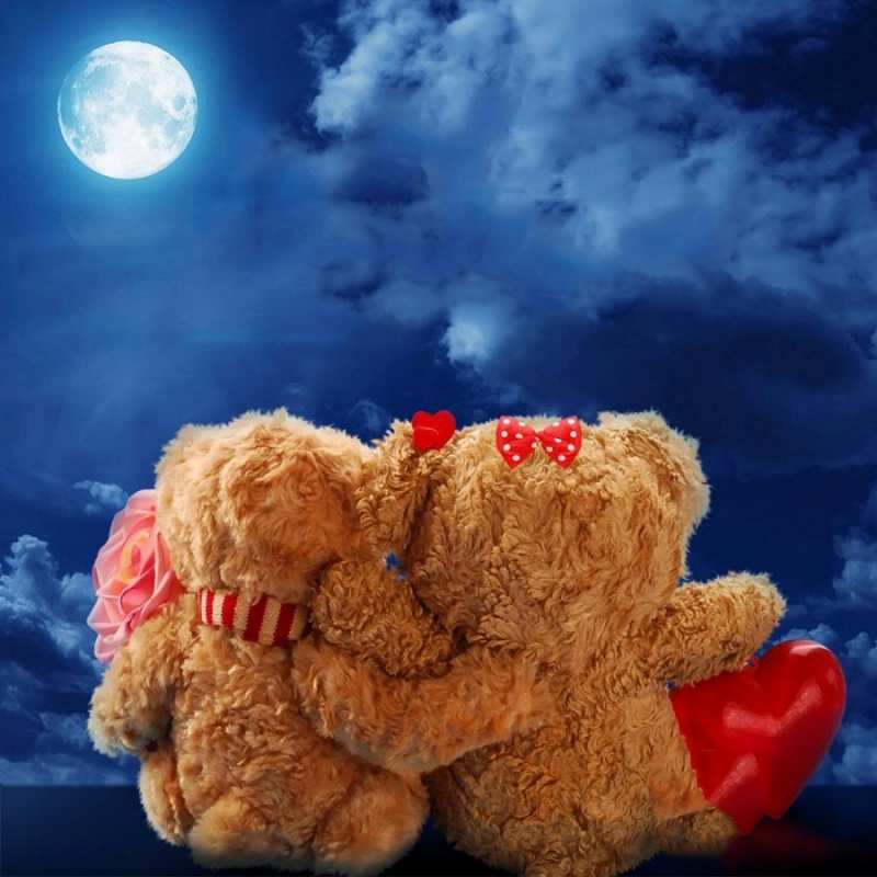 Открытка медведи смотрят на луну  плюшевые  На добраніч 