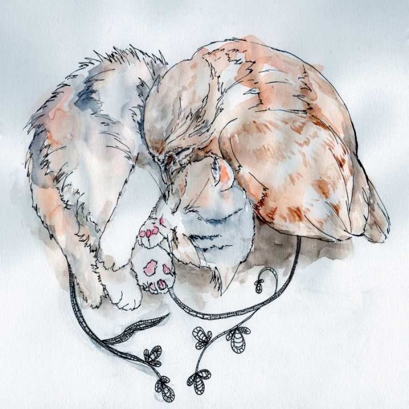 Открытка кот и голубь греются  можно быть вместе даже когда очень разные  Хочу обійняти тебе 