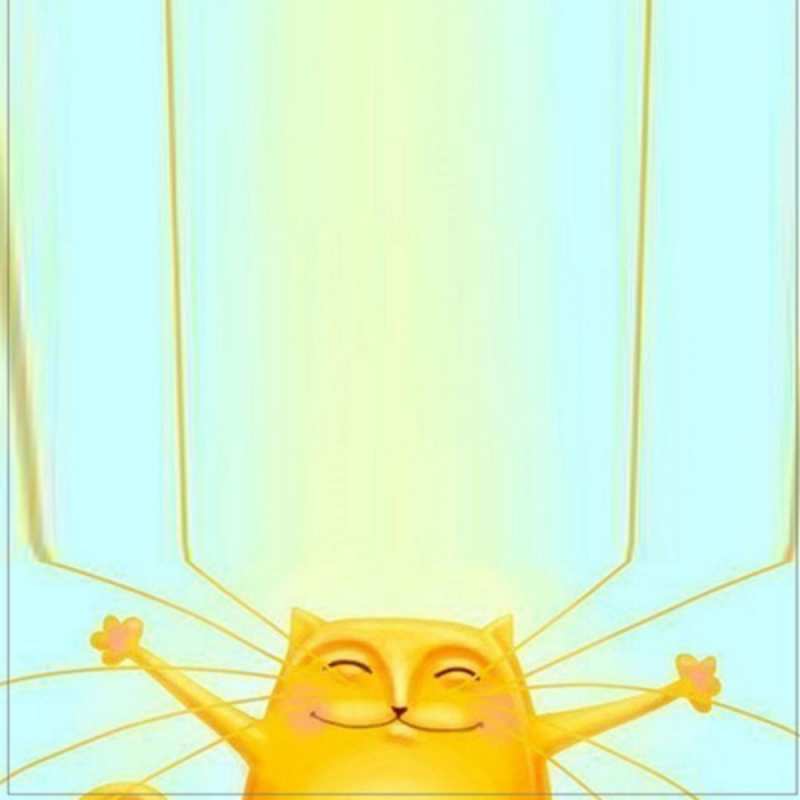 Открытка огромное спасибо от кота кот с усами благодарит Дякую 