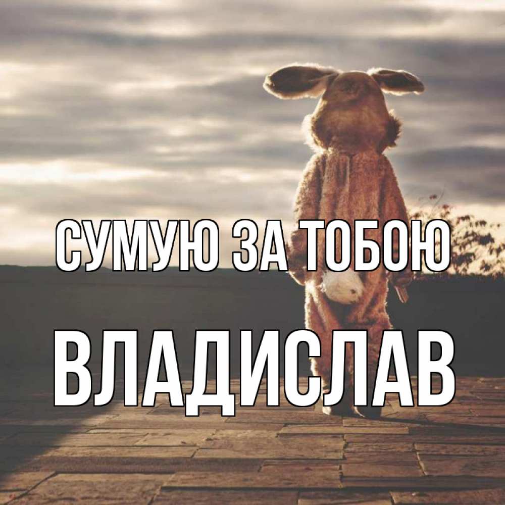 Открытка на каждый день з підписом, Владислав Сумую за тобою даже в костюме зайца Прикольна листівка з побажанням онлайн скачати безкоштовно 