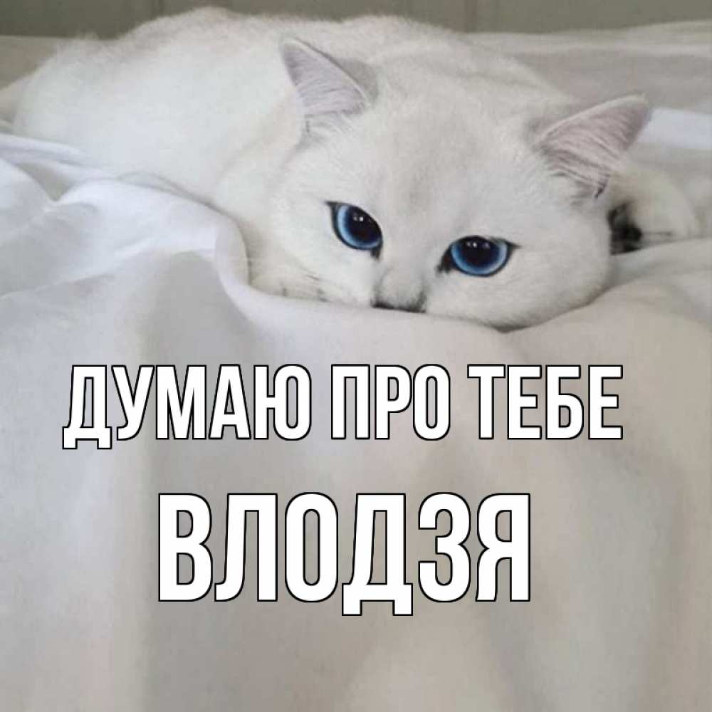 Открытка на каждый день з підписом, Влодзя Думаю про тебе я очень по тебе скучаю и тоскую Прикольна листівка з побажанням онлайн скачати безкоштовно 