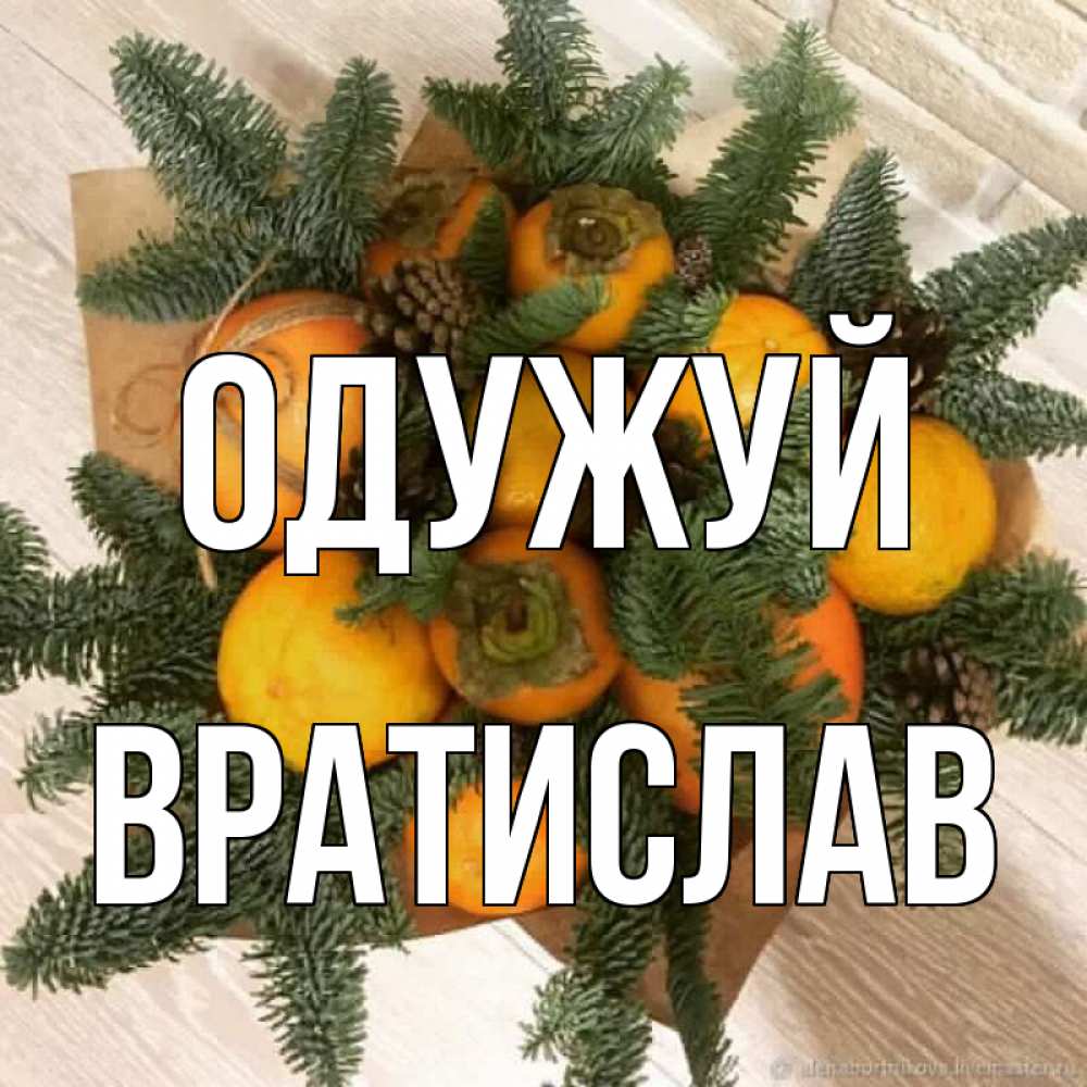 Открытка на каждый день з підписом, Вратислав Одужуй апельсины и хурьма Прикольна листівка з побажанням онлайн скачати безкоштовно 