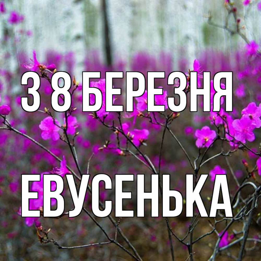 Открытка на каждый день з підписом, Евусенька З 8 БЕРЕЗНЯ дикие цветы Прикольна листівка з побажанням онлайн скачати безкоштовно 