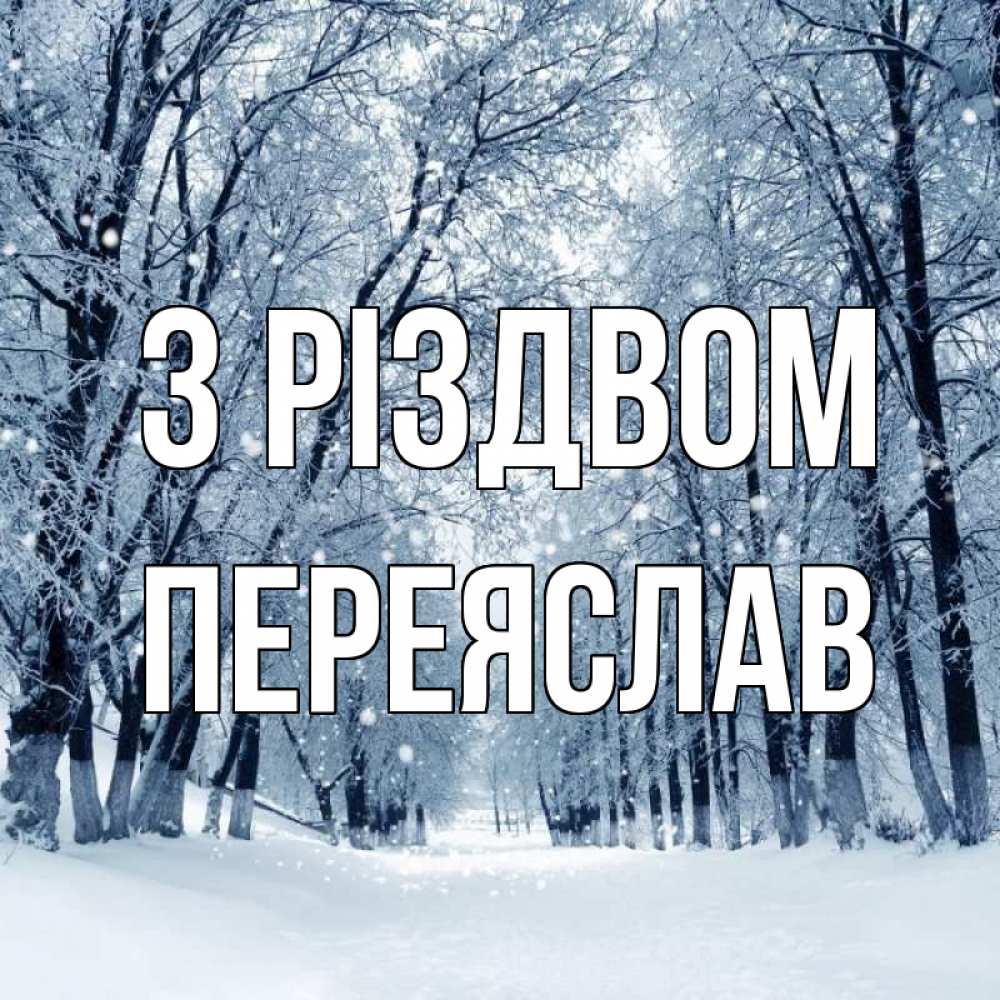 Открытка на каждый день з підписом, Переяслав З Різдвом снег, лес, парк Прикольна листівка з побажанням онлайн скачати безкоштовно 
