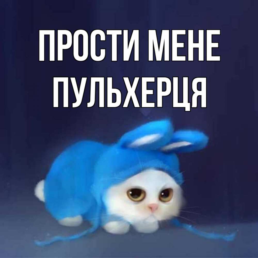 Открытка на каждый день з підписом, Пульхерця Прости мене невинный котозай просит прощения Прикольна листівка з побажанням онлайн скачати безкоштовно 