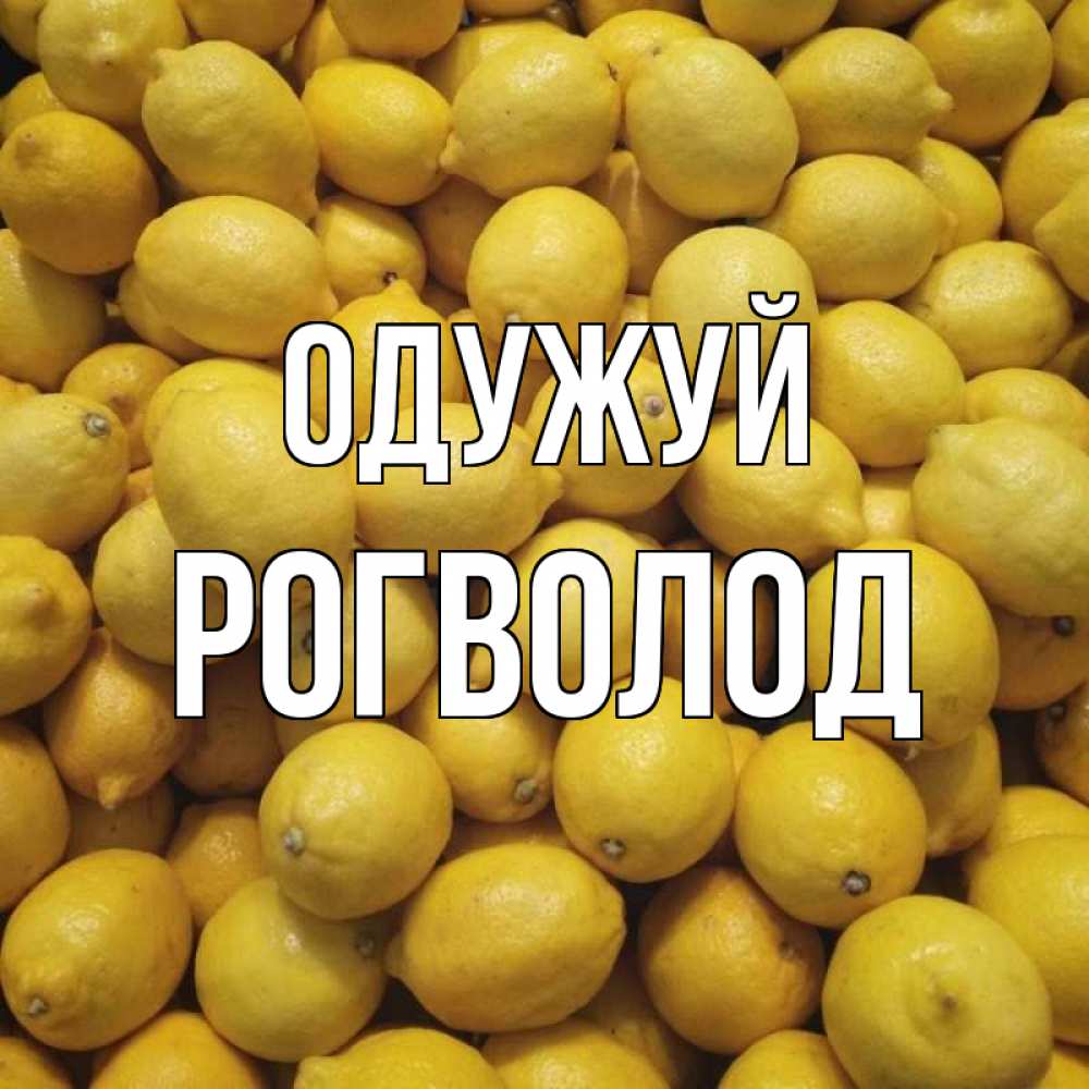 Открытка на каждый день з підписом, Рогволод Одужуй это точно поможет Прикольна листівка з побажанням онлайн скачати безкоштовно 