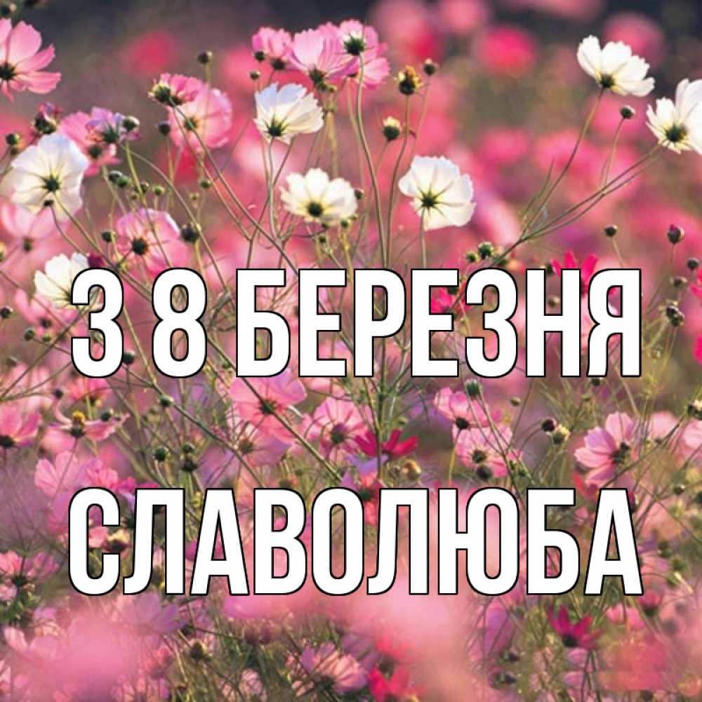 Открытка на каждый день з підписом, Славолюба З 8 БЕРЕЗНЯ красиво 1 Прикольна листівка з побажанням онлайн скачати безкоштовно 
