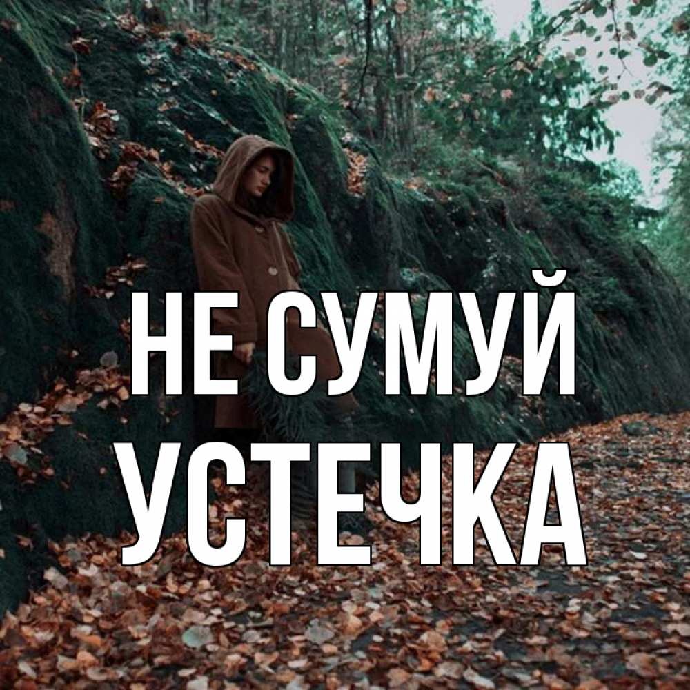 Открытка на каждый день з підписом, Устечка Не сумуй осенний лес Прикольна листівка з побажанням онлайн скачати безкоштовно 