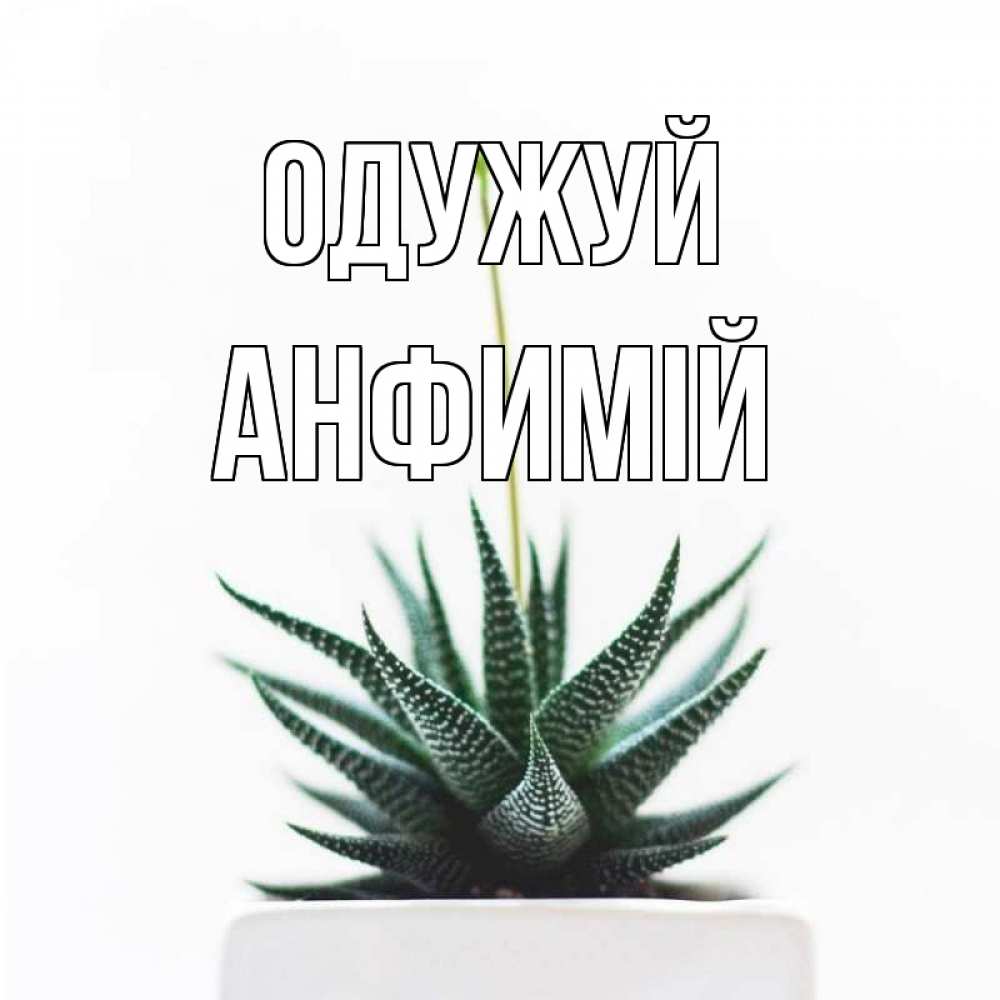 Открытка на каждый день з підписом, Анфимій Одужуй короче это непонятная колючка Прикольна листівка з побажанням онлайн скачати безкоштовно 