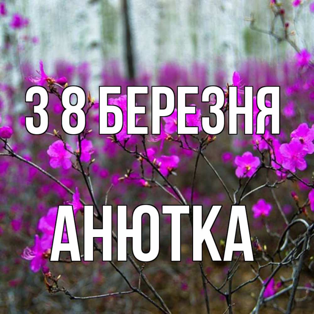 Открытка на каждый день з підписом, Анютка З 8 БЕРЕЗНЯ дикие цветы Прикольна листівка з побажанням онлайн скачати безкоштовно 