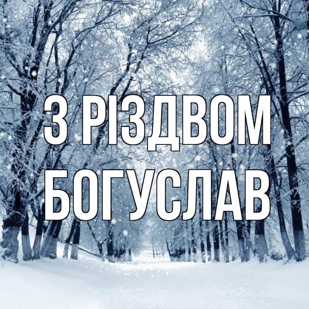 Открытка на каждый день з підписом, Богуслав З Різдвом снег, лес, парк Прикольна листівка з побажанням онлайн скачати безкоштовно 