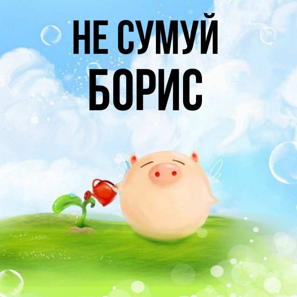 Открытка на каждый день з підписом, Борис Не сумуй поливает цветок порося Прикольна листівка з побажанням онлайн скачати безкоштовно 