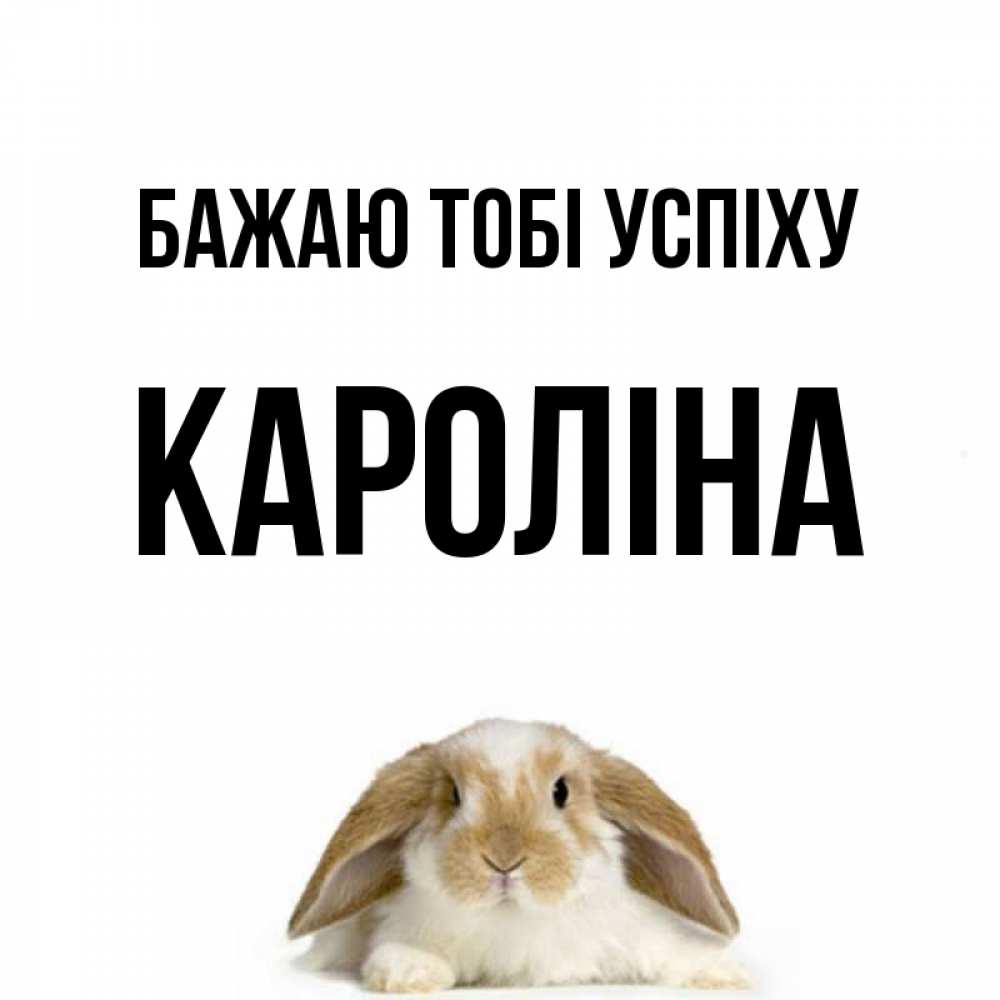 Открытка на каждый день з підписом, Кароліна Бажаю тобі успіху открытки с произвольным текстом который можно вставить в открытку и создать ее самостоятельно бесплатно онлайн Прикольна листівка з побажанням онлайн скачати безкоштовно 