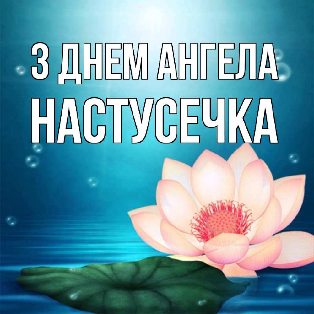 Открытка на каждый день з підписом, Настусечка З Днем ангела кувшинка Прикольна листівка з побажанням онлайн скачати безкоштовно 