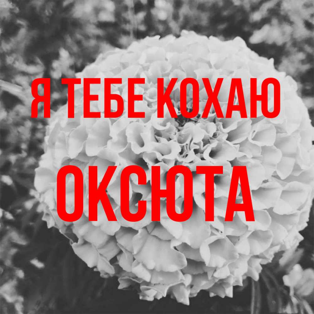 Открытка на каждый день з підписом, Оксюта Я тебе кохаю подпись Прикольна листівка з побажанням онлайн скачати безкоштовно 
