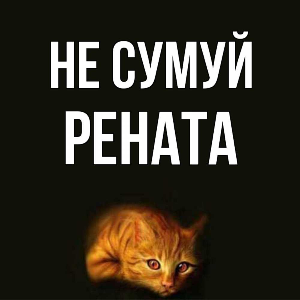 Открытка на каждый день з підписом, Рената Не сумуй лежащий кот в темноте Прикольна листівка з побажанням онлайн скачати безкоштовно 