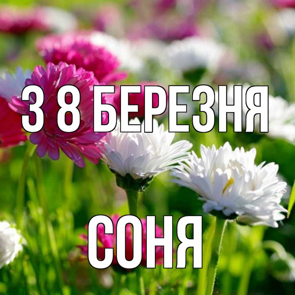 Открытка на каждый день з підписом, Соня З 8 БЕРЕЗНЯ международный женский день 1 Прикольна листівка з побажанням онлайн скачати безкоштовно 