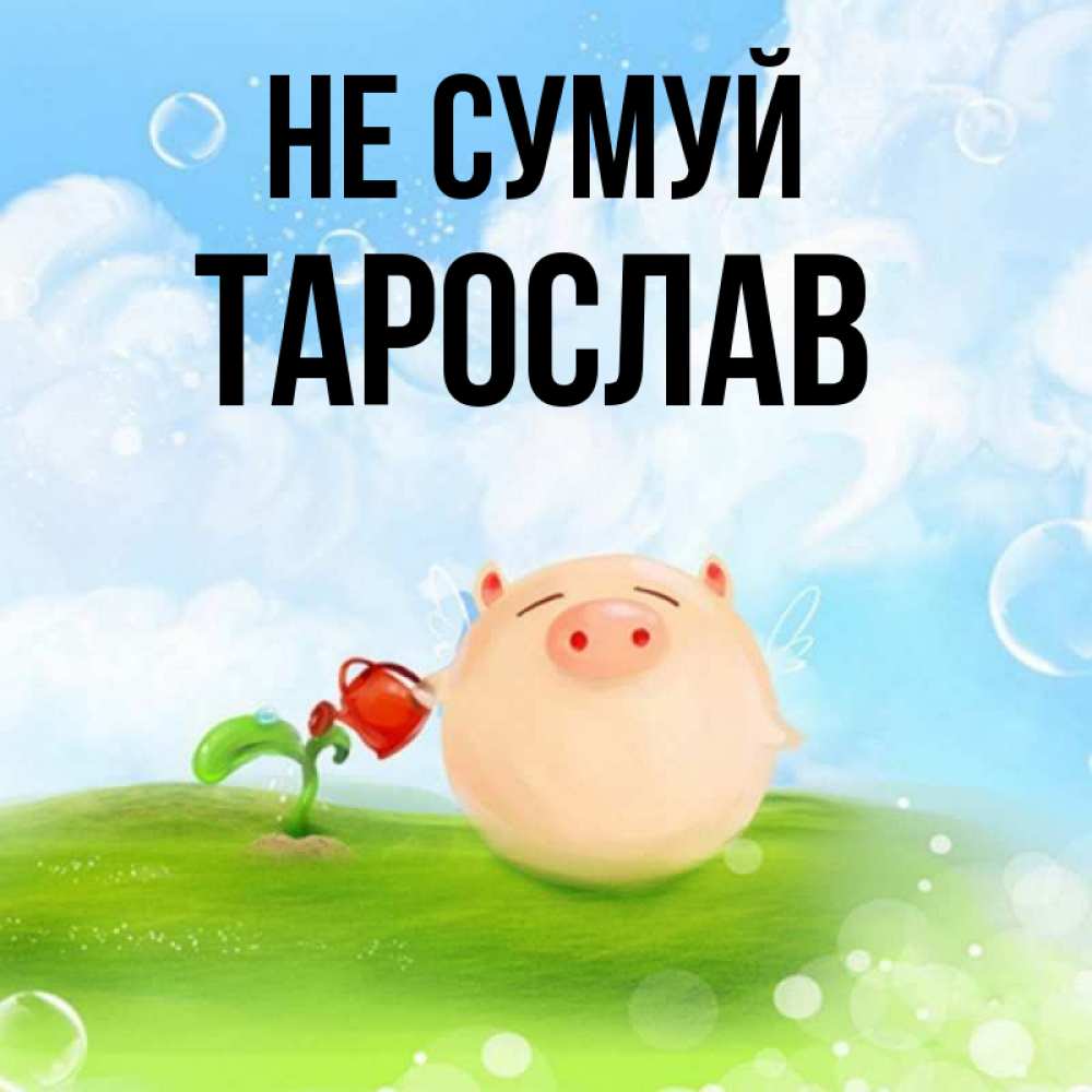 Открытка на каждый день з підписом, Тарослав Не сумуй поливает цветок порося Прикольна листівка з побажанням онлайн скачати безкоштовно 