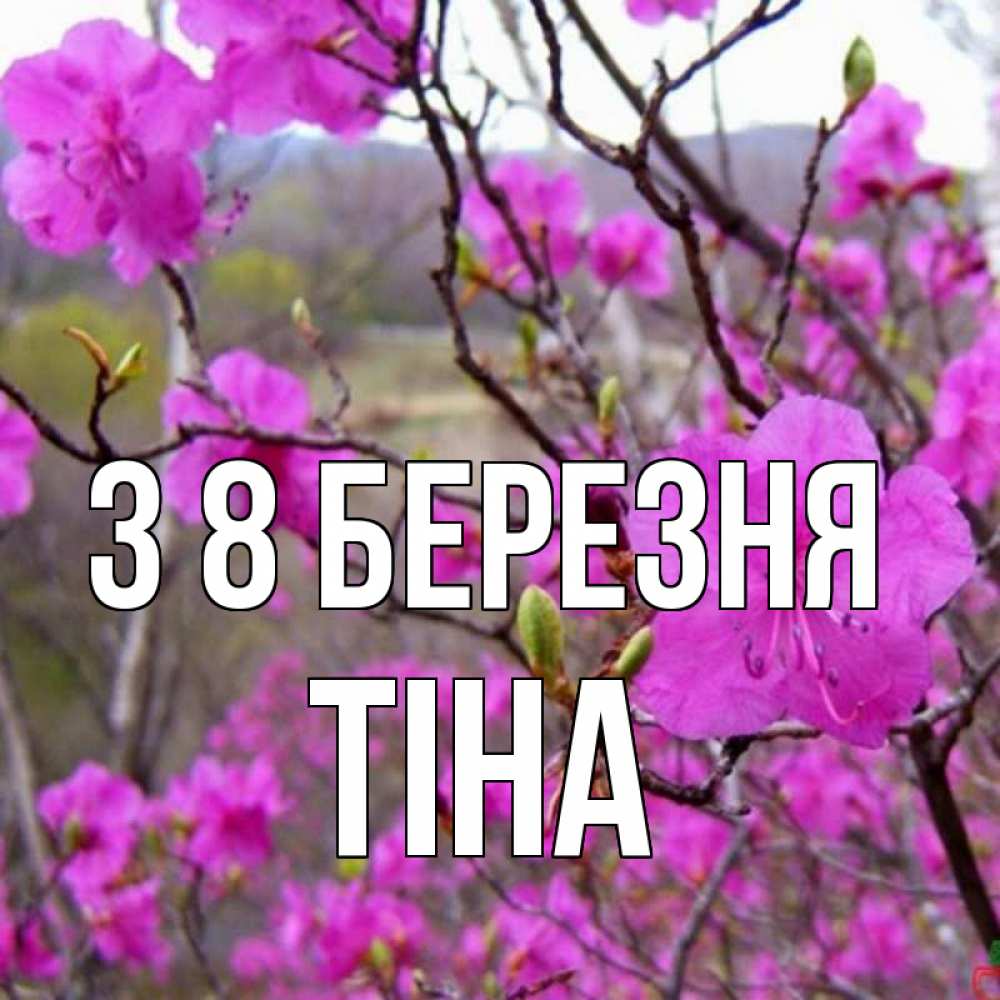Открытка на каждый день з підписом, Тіна З 8 БЕРЕЗНЯ международный женский день Прикольна листівка з побажанням онлайн скачати безкоштовно 